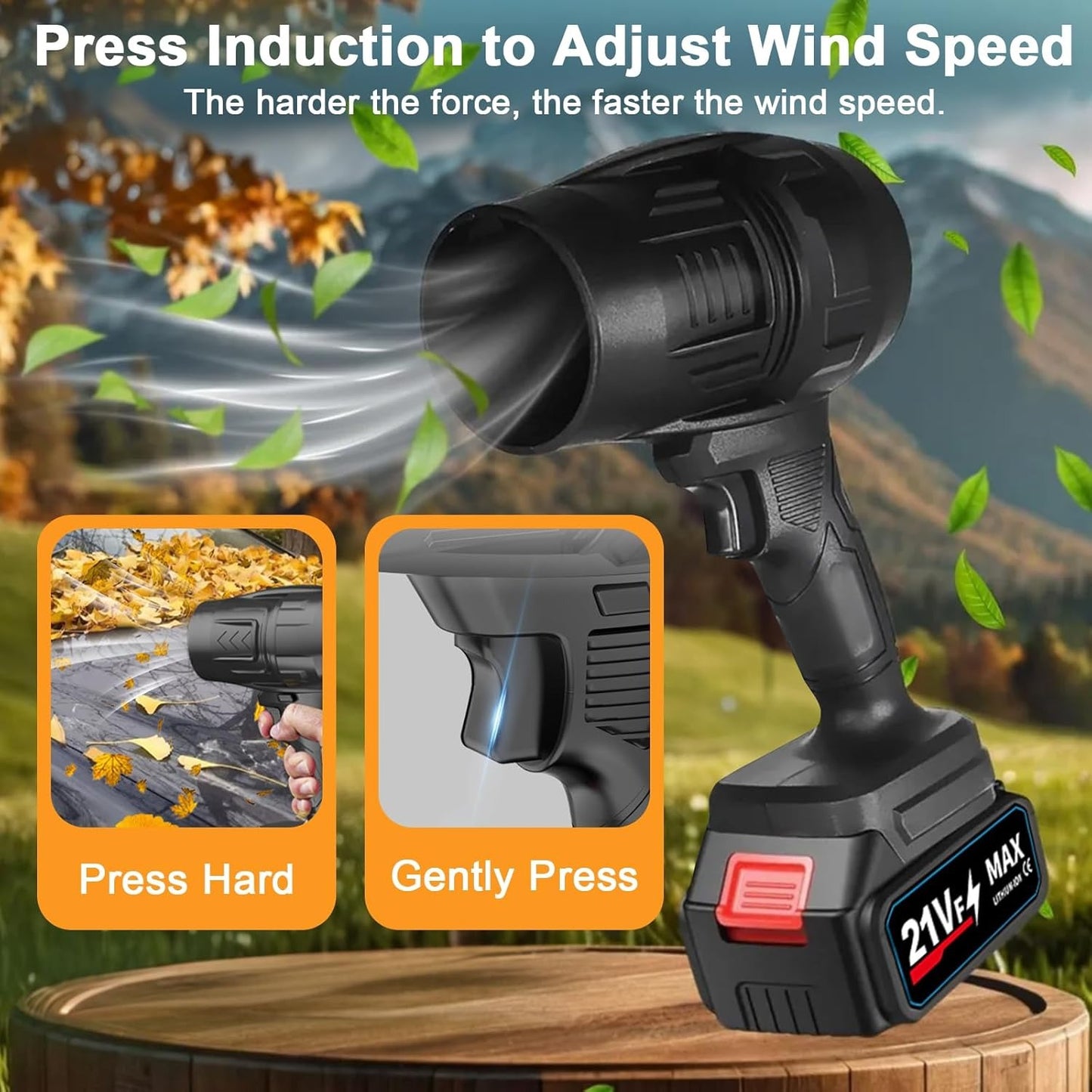 Jet Blower with Charger (2 Battery)